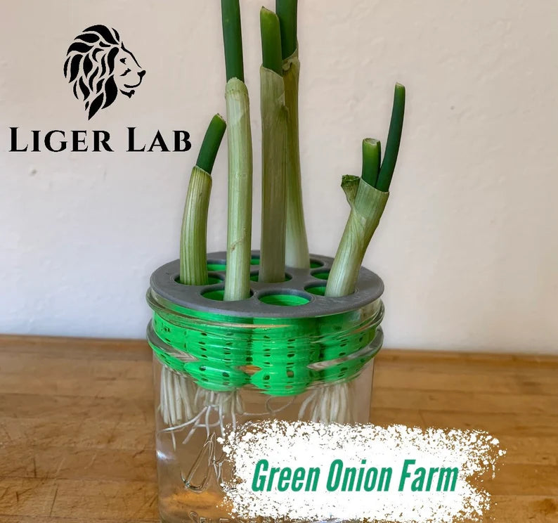 Green Onion Farm Starter Set
