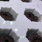 Flexible Aerogarden Seed Tray Lid Covers