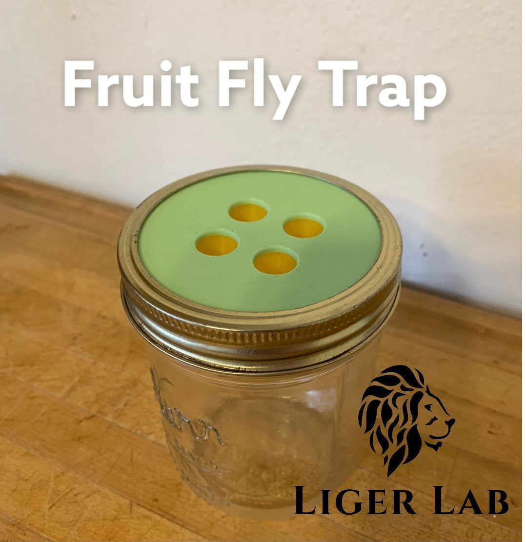 Fruit Fly Traps - 4 Cone