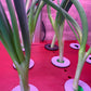 iDOO Green Onion Pods
